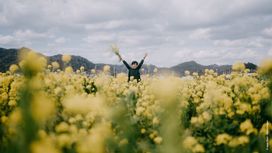 L’allergie au pollen : ce qu’il faut savoir