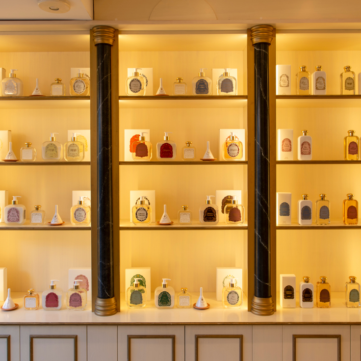 6a85619a-ff08-4d75-a27c-d110ed3dcca3