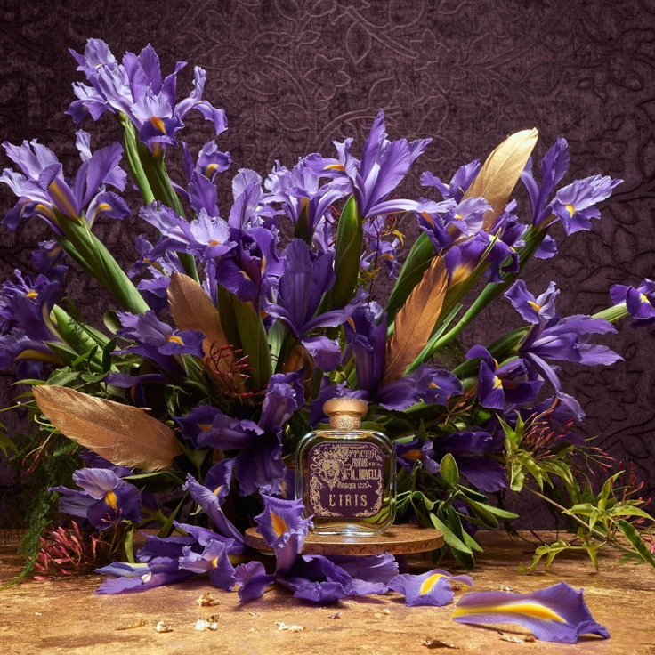 44c91c7f-69d9-4ab2-aede-c85691849881