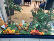 5fff9be2-7fe9-4acb-88bb-55fb840764ab