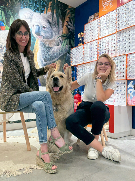 82c42cd3-fffa-4d15-a32d-1f6b54cbb8d7