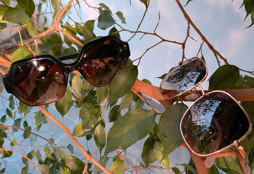 f24ccfbb-f43d-475e-80f4-8e324abc81b6