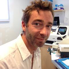 M. Eric DAVID, votre Opticien Atol à Saint remy de provence