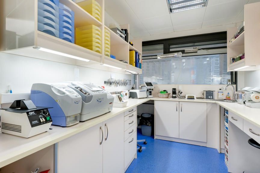 5a2d3abf-f508-4c74-8238-74844998e6e7