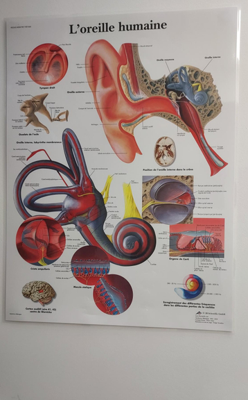 bba05ca5-2a3a-4ef1-b32a-3f907348d113