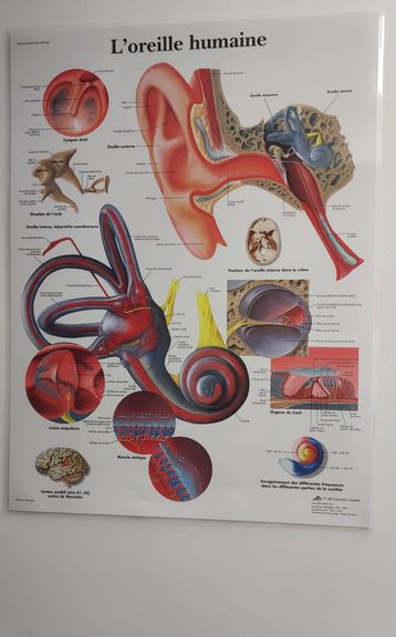 bba05ca5-2a3a-4ef1-b32a-3f907348d113