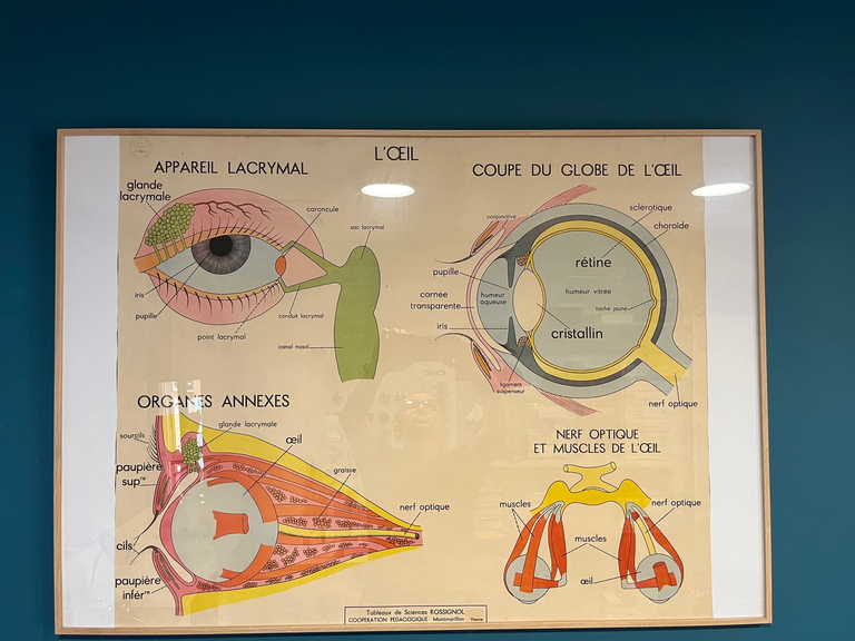 ac4ec744-e344-4197-9b32-46c1c251bbcd