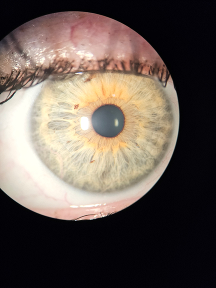 ea238e32-ea3d-42e5-a499-5bdf50f596c7