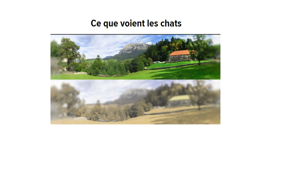 lSJO9Eh4OPIZCpQdcveicadEJ4a3N73ESL3Jb421S_-ejqqCDuotuwkZUnP4O1JYWz4oDGbGVKqRyKUF=s0