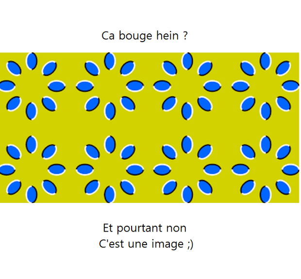 _Et_Xantvu6R3wPZGz5K-uFkUuG1dadXmorlVhbUHd8wdqFfanx4B3LPsFLS3i2nzNTwH2rnPS3X0IJ_=s0