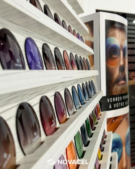 c6adbade-4b2a-4313-9753-274dae6e86b3