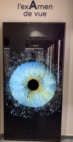 5e86d57c-4eab-4b2c-b54c-5e60a225700f