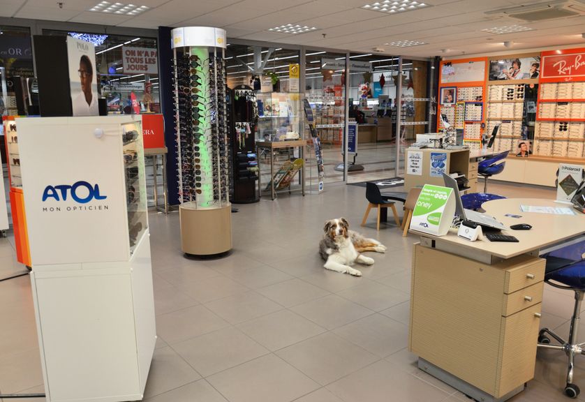 92134235-fefc-4b1d-9114-73feb6eff2fa