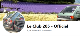 Logo Club 205 Officiel .