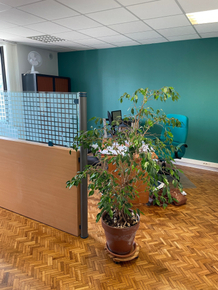 c29a7e76-ed42-4b1d-849e-bbf90b6247e6