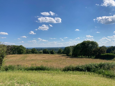 d4386698-bbb8-47fd-90d8-49a653933e31