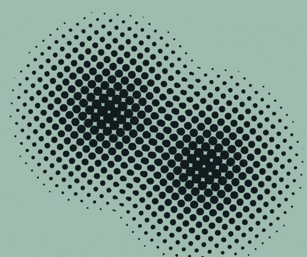 2185715a-7c00-4feb-b76c-d40af077e7af