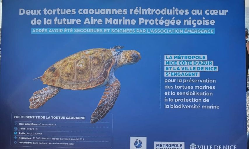 af6cb437cb3e482c8284098f8b21e1f1