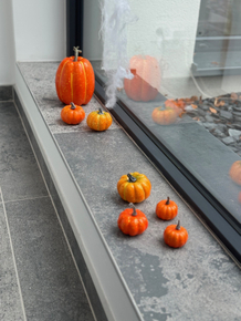 6f510590-9f4e-4dba-afa4-b65cc68f490a