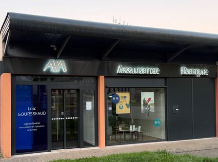 Image de présentation de Loic Goursseaud