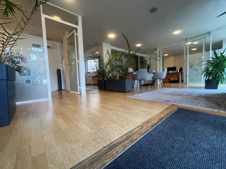 Image de présentation de David Bellanger