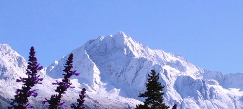 47de2ecf-a853-4bf5-9ca8-cb3145758587