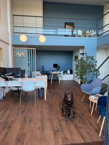 24feb127-e303-4dfb-8021-f8760d4da3a6