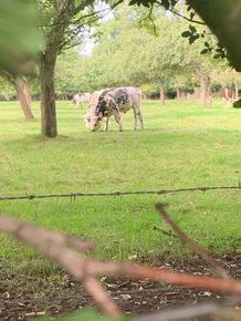 5ZXbJqrV-z07s9WE370zUFG27Ua5fdGWkO4ub8qr1pRlEd2aYchAG1be8riG2A7pzGi3NKlImBROFF4Fdw=s0