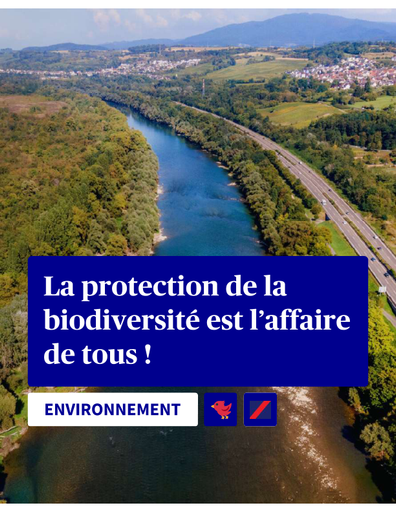 312a632f84ea4ef5a48d87753ecf9a58