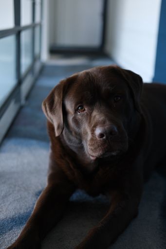 798229aa-5e2b-418f-b354-caf64484ca99