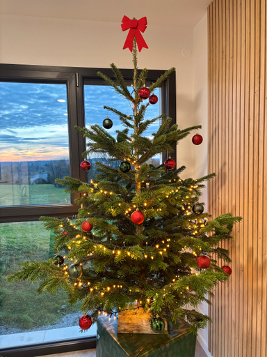 d01b0bc2c40c49be8bc59d340bdbe07d