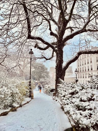 101c3a6a290d426785a1b6575e983ea8