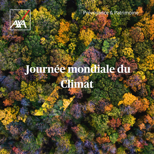 7fd22ac9551a490fa68ec783884d22ca