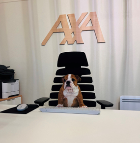 40e9a604-67a8-4960-835f-2edbe6895295