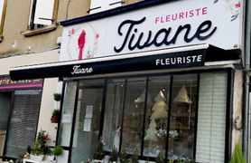 Logo TIVANE FLEURS.