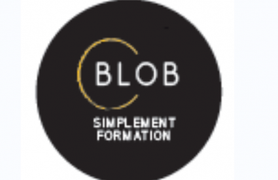 Logo BLOB Formation.