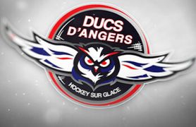 Logo Les ducs d'Angers.