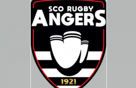 Logo Les ducs d'Angers.