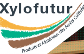 Logo XYLOFUTUR.