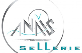 Logo ANAIS.