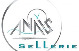 Logo ANAIS.