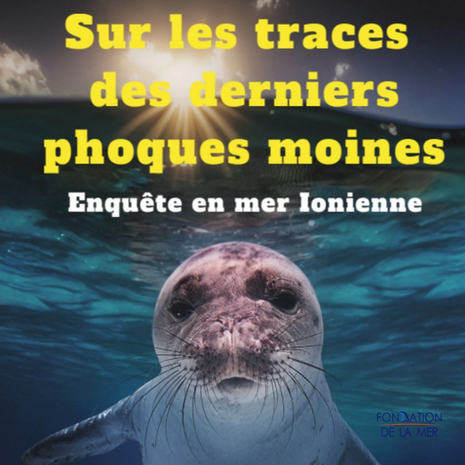 e7ada1e79073474aa4af4addc9361c9f