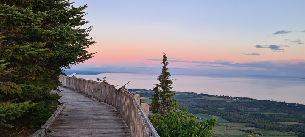 2ba29f9b-388f-45b1-b9d0-a4ac9ca99ed7