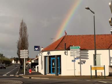 0c3a6229-61ef-4ff0-8c5d-9f632efe75c8