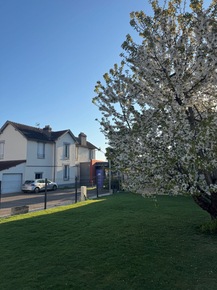 a9bc728c-3be6-4c87-a1b8-be0792623ff5