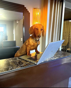 7fde9894-8478-4223-bbd2-93f9b80643bb