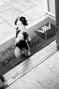 88ae4146-3f80-4063-ba13-17b250958d82