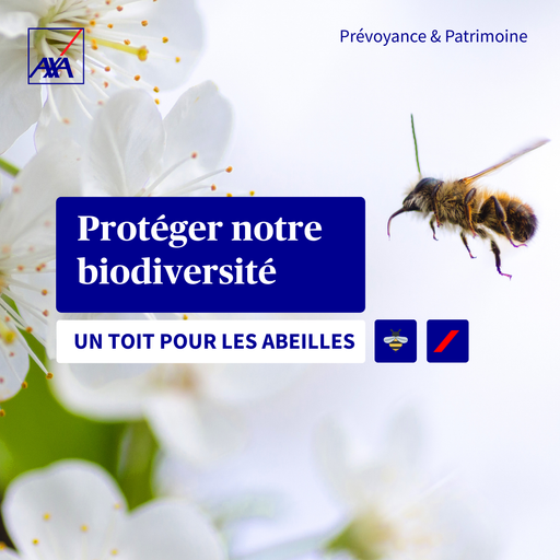 212cb2b5d2fb4ad3be9ad4d9db423e4d