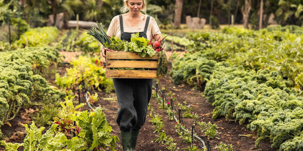 cc47a652a7b5486eba8b69d90530013a