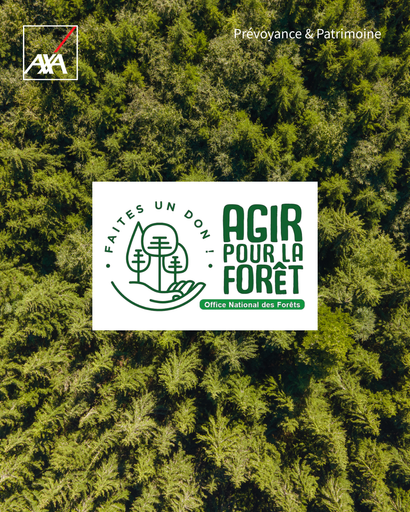 eb071f2d50154423a66f0b34b68cb21a